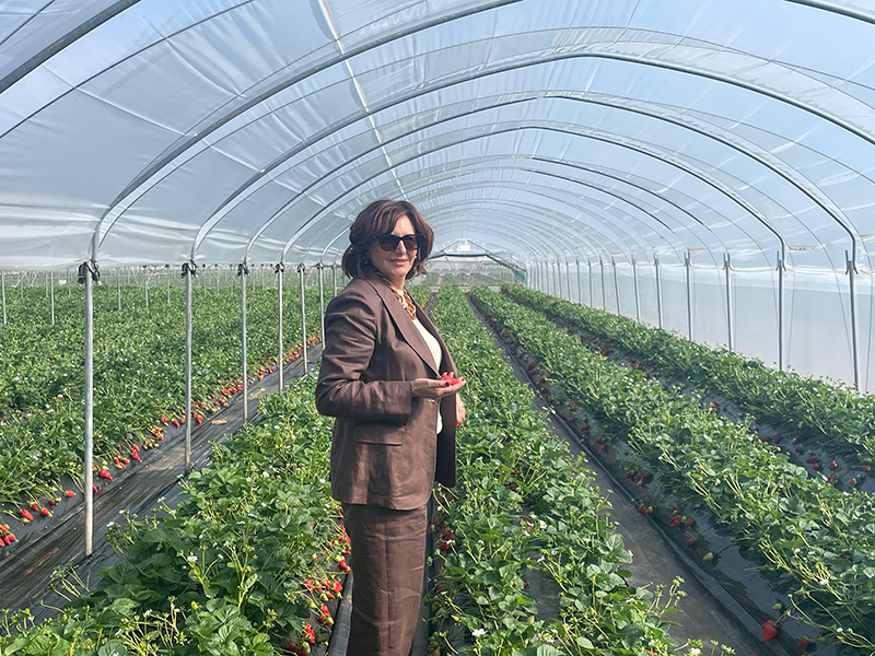 Carmela Suriano, direttore di NSG